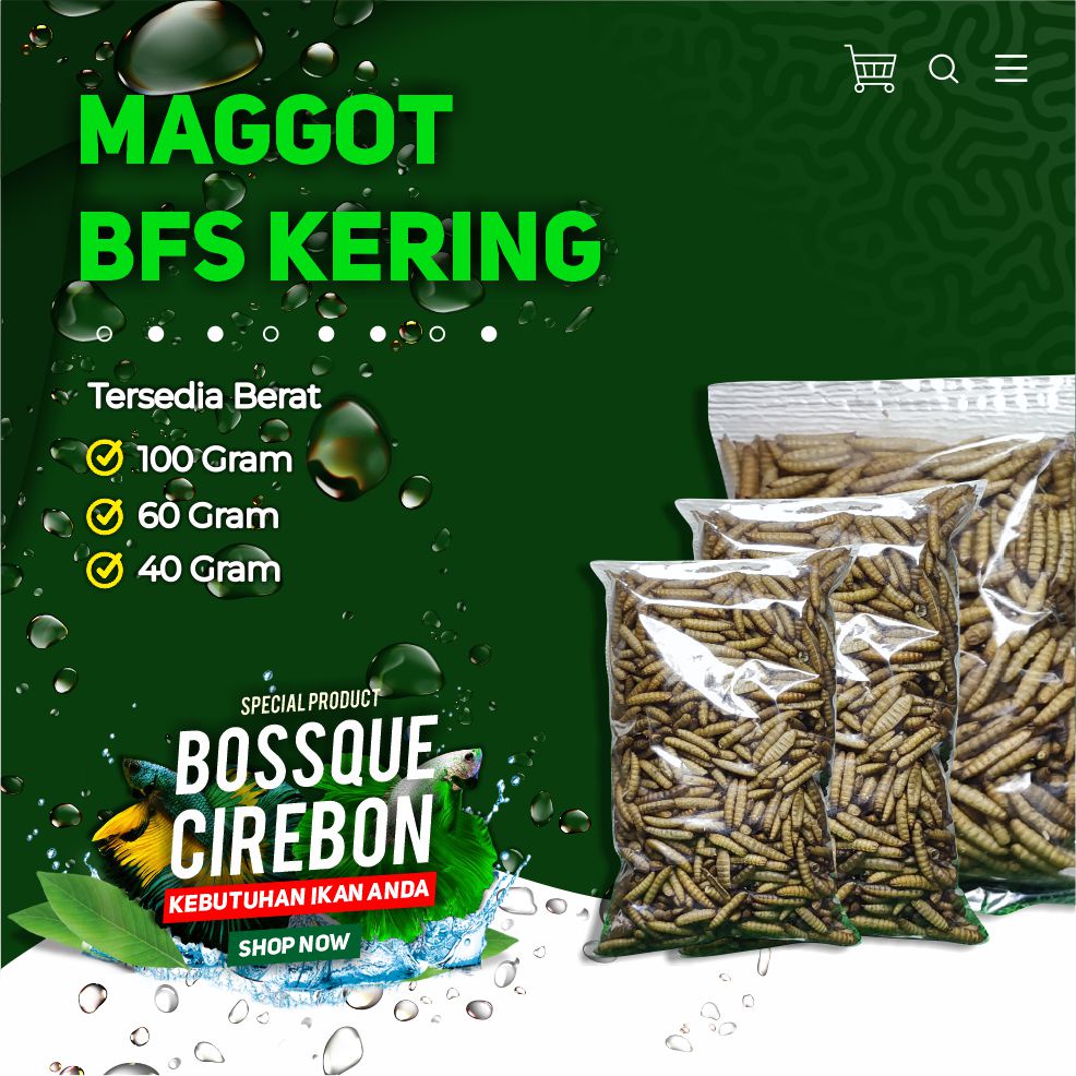 Maggot Kering Magot Dry Maggot Pakan Ikan Terbaik Tidak Berminyak Kualitas Terbaik