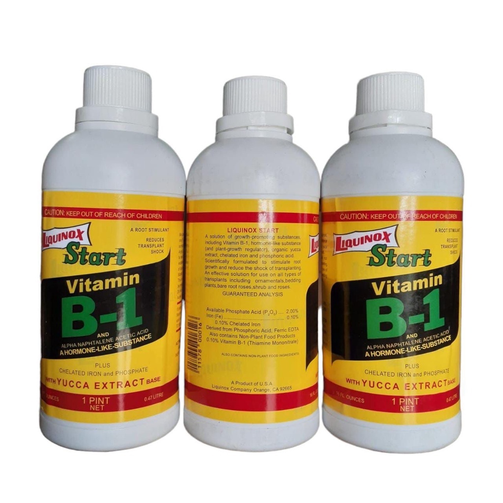 Vitamin B1 Tanaman 470ml Liquinox Star Anti Stres Tanaman