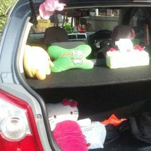 Ayla Agya Rak Bagasi