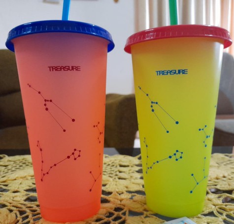 [go Bersih Ina] Checkout Innersleeve & Sleeve