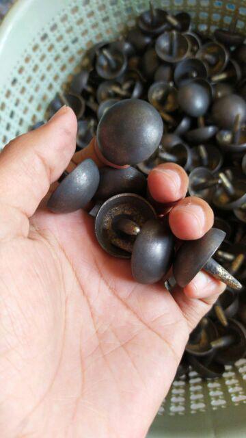 Paku Pines Kuningan Aksesoris Pintu & Gerbang 3,5 Cm Juwana