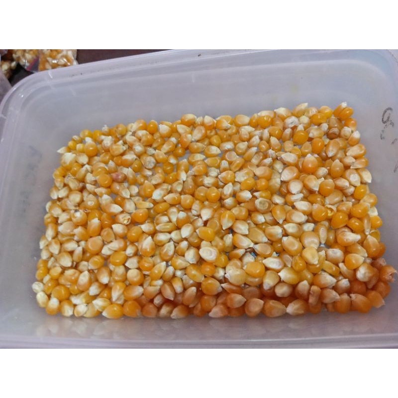 

JAGUNG POPCORN /CURAH[per 500 gram]