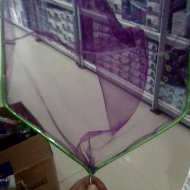 Aquariu Ikan Serokan Ikan 30cm