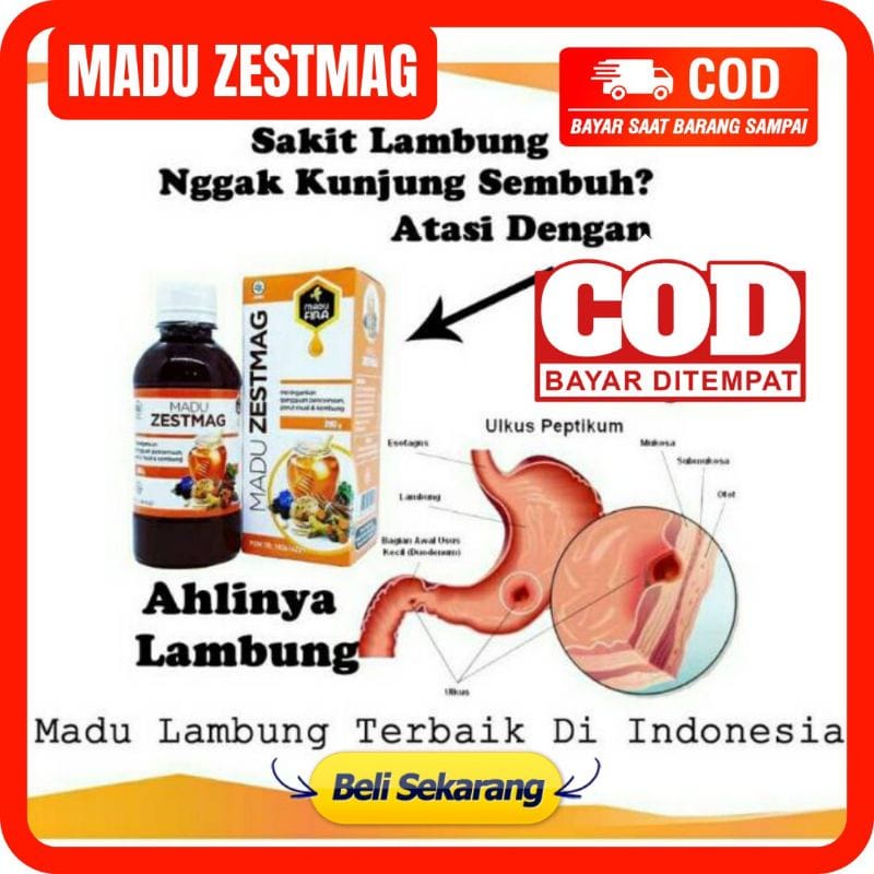 

(BISA COD) MADU ZESTMAG ASLI MADU ZESTMAGH MADU ZETMAG MADU ZETSMAG MADU ZESMAG MADU ZESTMAAG