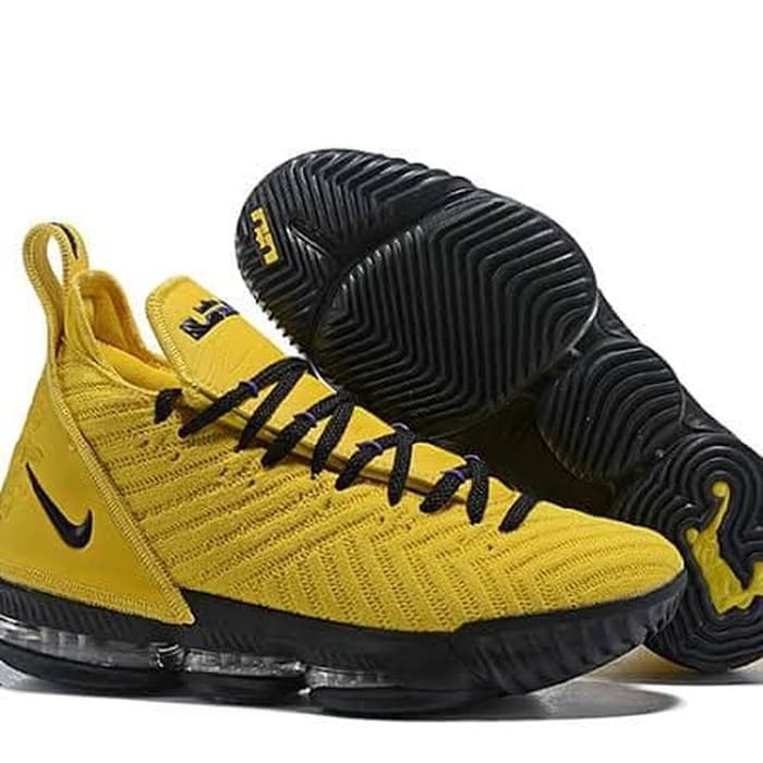 sepatu lebron 16
