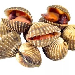 

KERANG DARA DARAH CANGKANG - PASAR KEMIRI