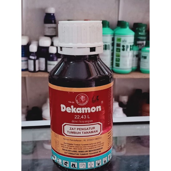 Zat Pengatur Tumbuh Tanaman Dekamon