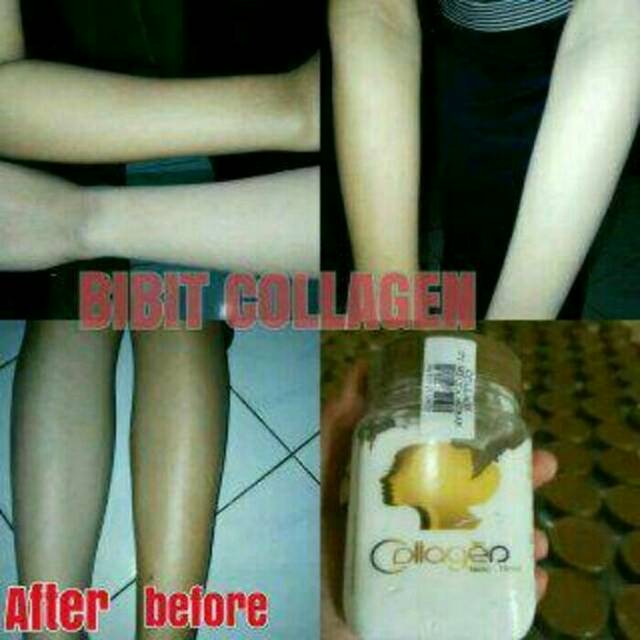 BIBIT COLLAGEN ORIGINAL CV MECCA - BIBIT PEMUTIH BADAN