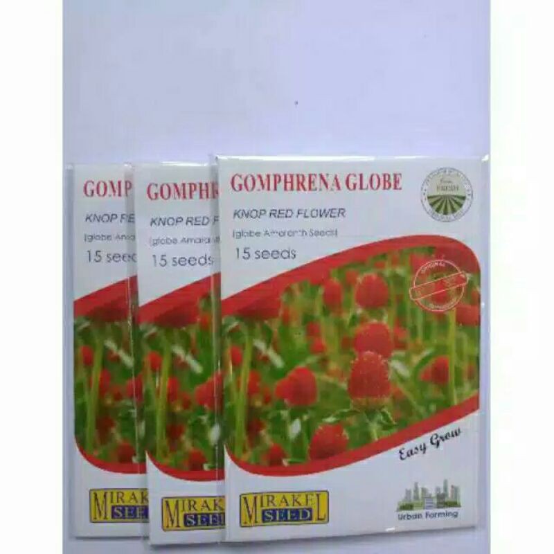 

gompherne globe isi 15 biji