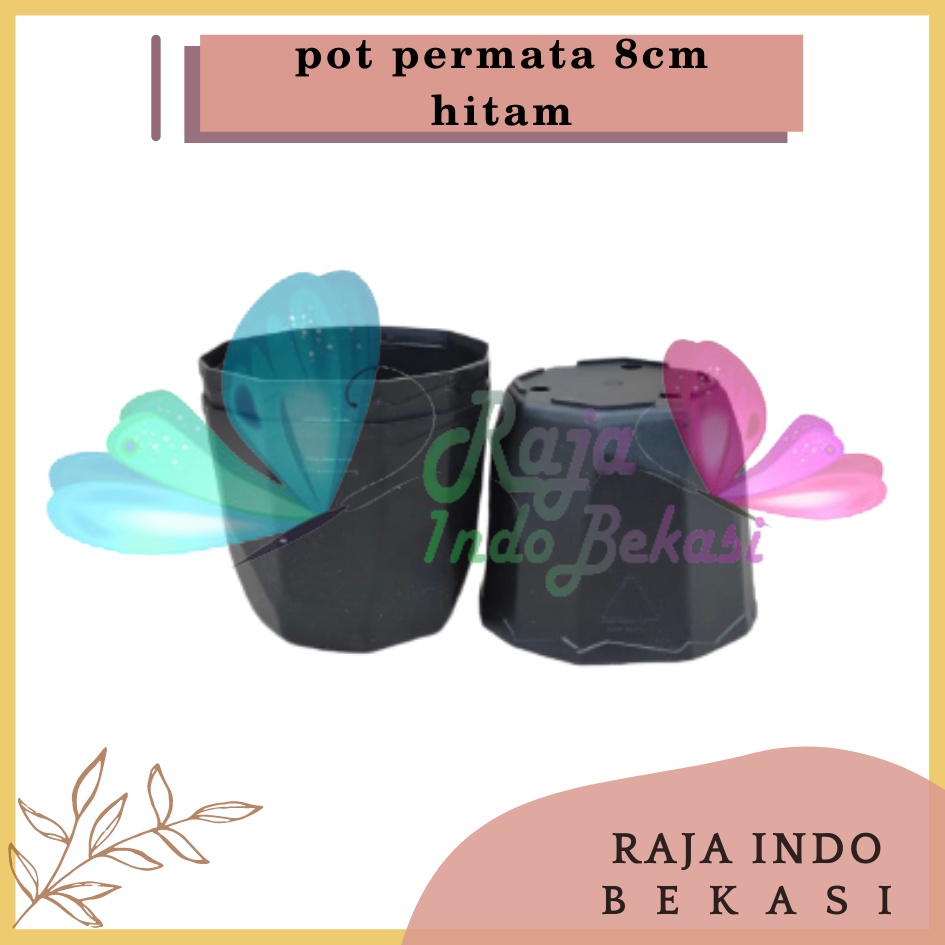 Pot Permata 8CM Hitam By Garden Of Love Pot 8 Cm Putih Pot Plastik Kaktus Sukulen Mini Lucu Murah