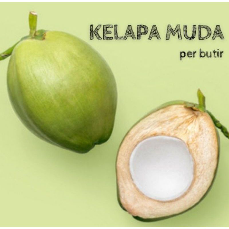 

KELAPA MUDA BULAT 1PCS