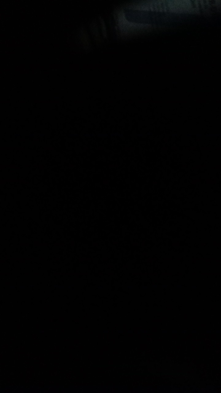 Bunga Kering Oson - Oson Violet