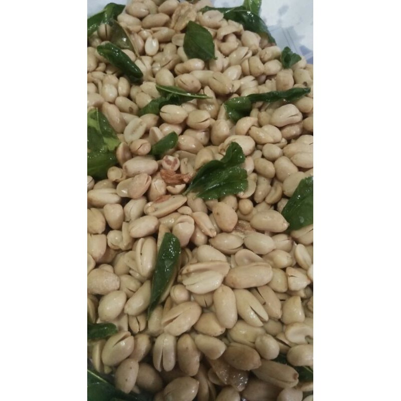 

Kacang bawang