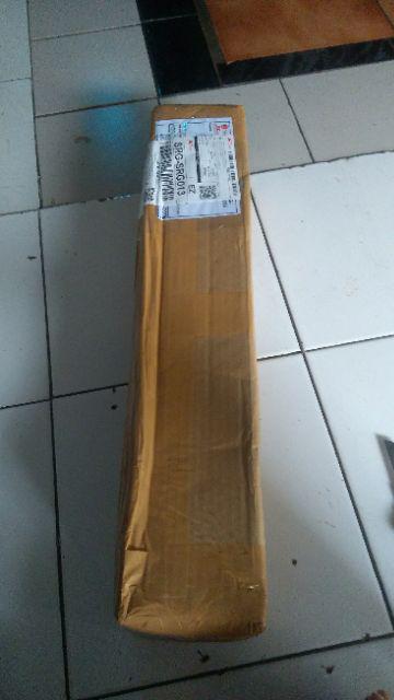 Tanaman Hias Bunga Dianthus Merah