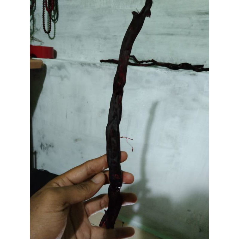 bahan akar Bahar merah kristal size tlunjuk