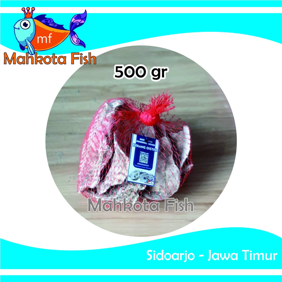 Kerang Oister (500 gr) | Cangkang Kulit | Kulit Tiram | Media Filter Aquarium Aquascape | Media Filter Kolam