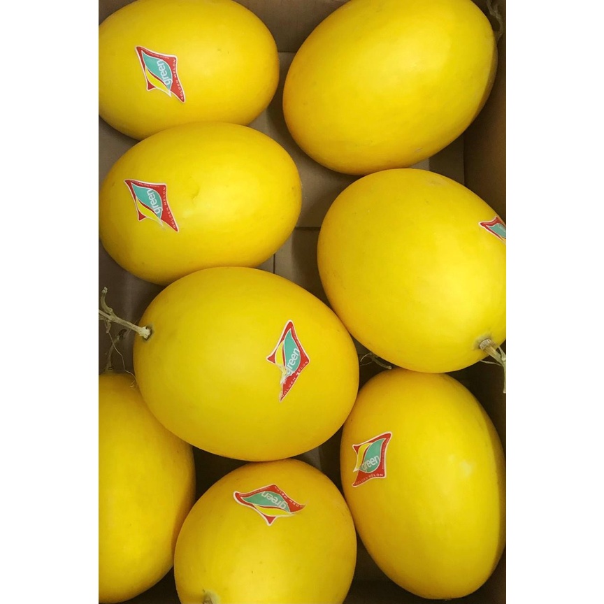 

Golden Melon | 1 PCS |