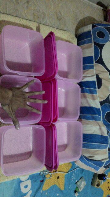 6 Toples Plastik 2,5 Liter - Food Container - Sealware Set - Kotak Plastik - Clio Fuji