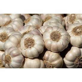 Bawang putih 250 gram