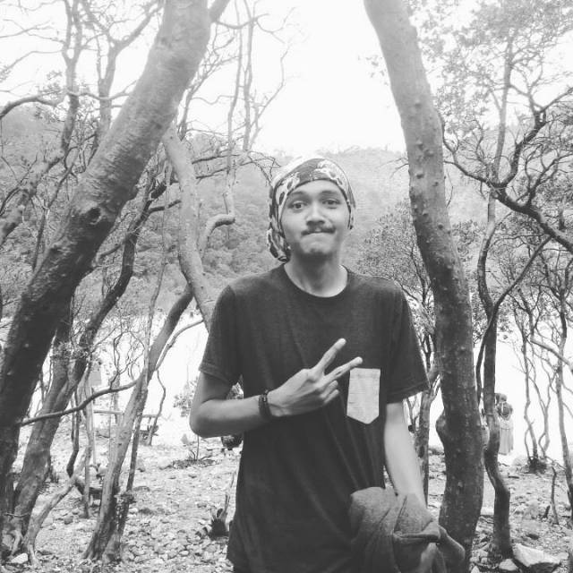 alvinnoorreza