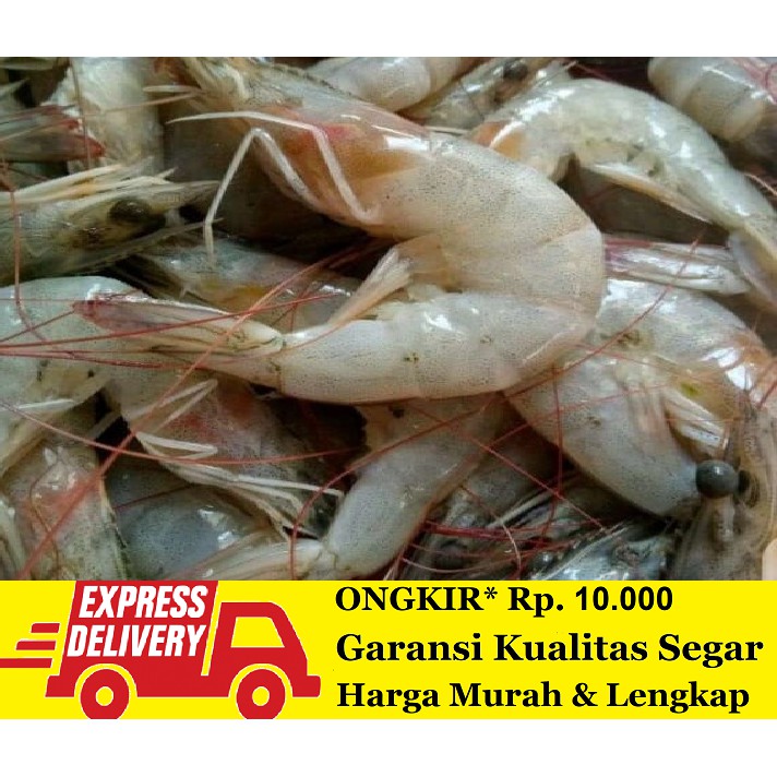 

Udang Segar Fresh 500 gram