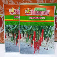 [ Bisa Cod ]Benih Cabe Merah Besar F1 DARMAIS 10gr - Bibit Cabe