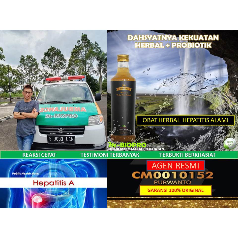 TERBUKTI M BIOPRO Obat Liver | Pengobatan Hepatitis Manjur | Obat Alami Hepatitis B M BIO PRO