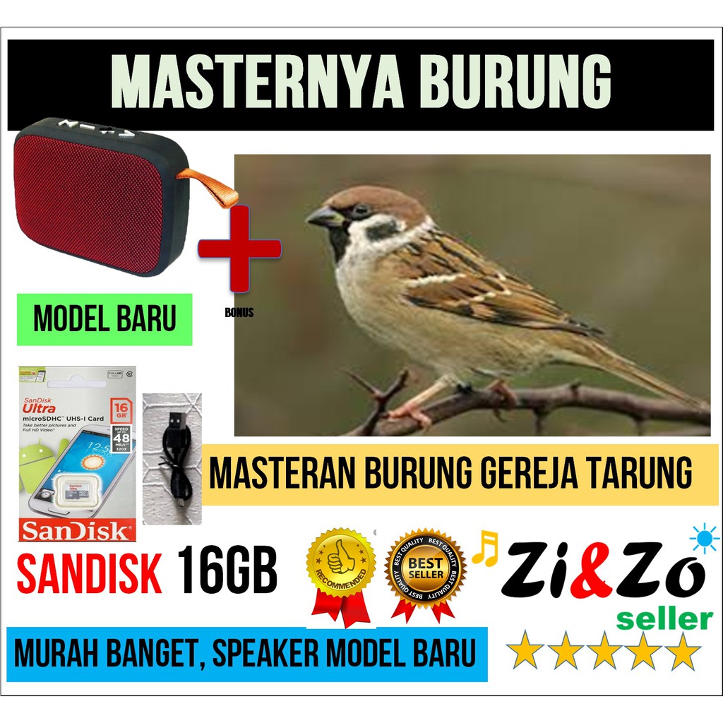 Masteran Burung Gereja Tarung Gacor Termurah
