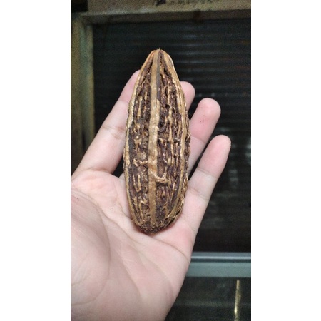 

BUAH RAJA MANDAK