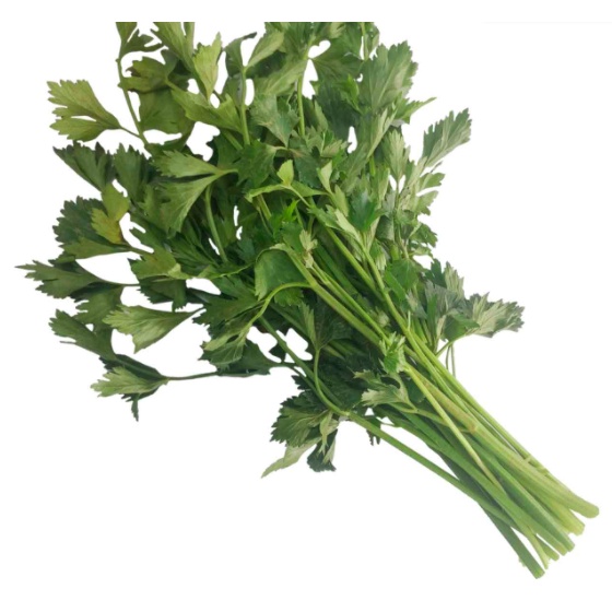 

DAUN SELEDRI HARGA PER PAKET