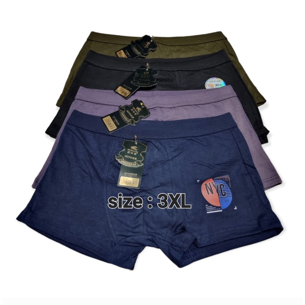 Boxer pria import