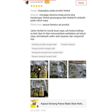 Kapsul Ginseng Panax Radix Obat Herbal Booster Kuat Stamina Pria (perkapsul)