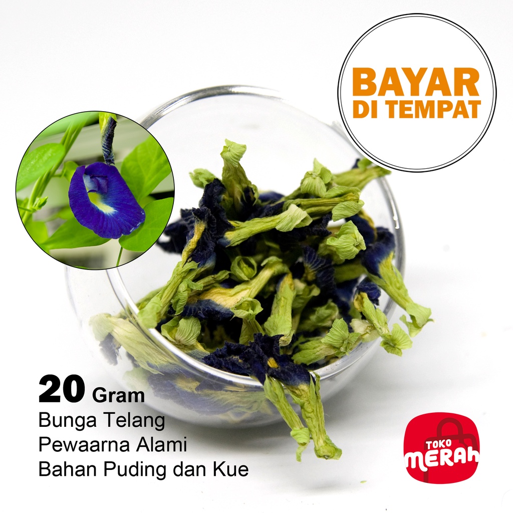 

Bunga Telang Kering Pewarna Alami Bahan Puding dan Kue