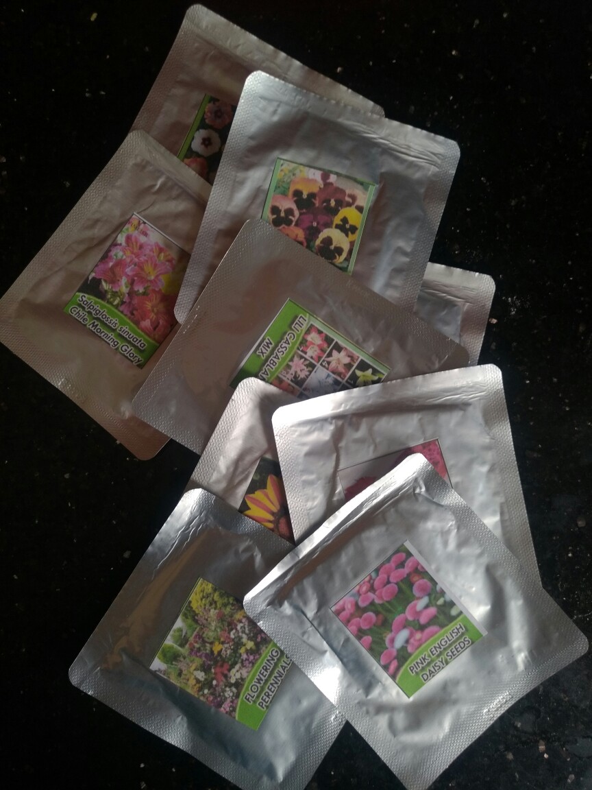 Biji Buah Naga Merah