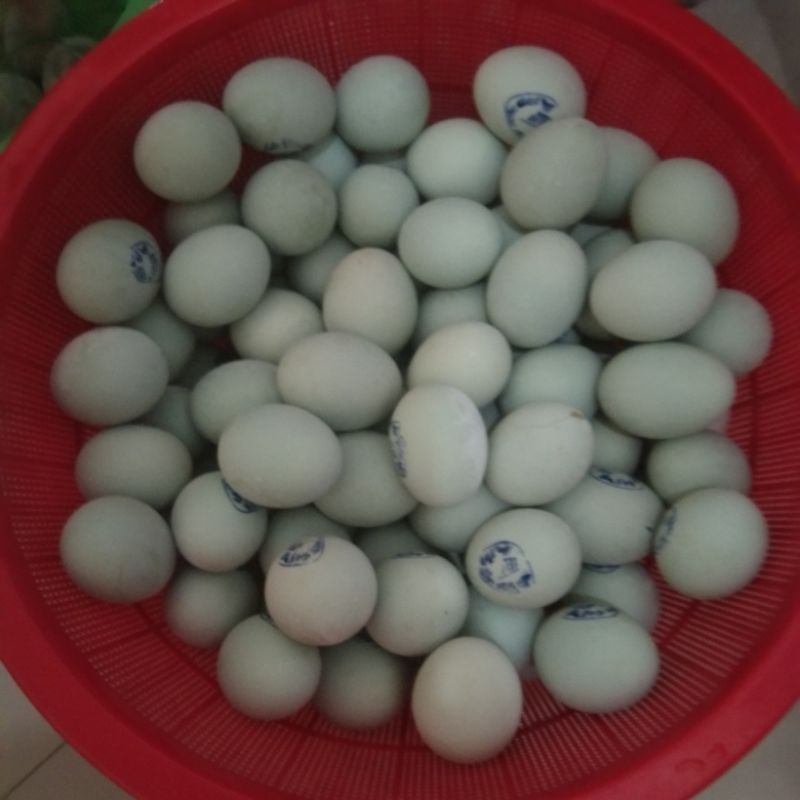 

telor asin khas indramayu 10 biji cuma 30 ribu