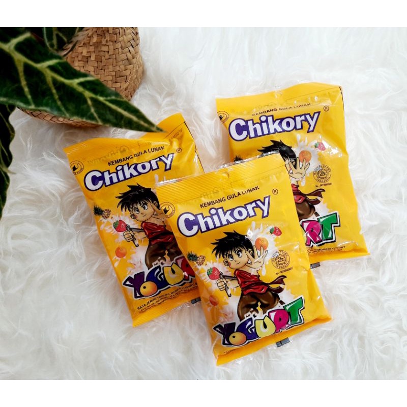 Chikory Yogurt 92 gr