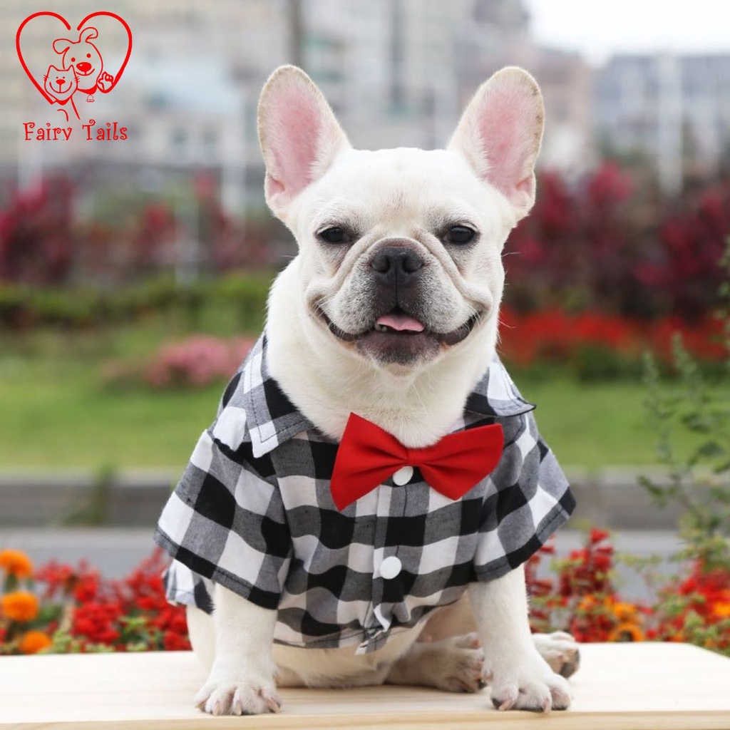 Baju Anjing Kucing | Kostum Kaos Kemeja Dasi Kupu Kupu | Pet Bowtie Tie Shirt Clothes