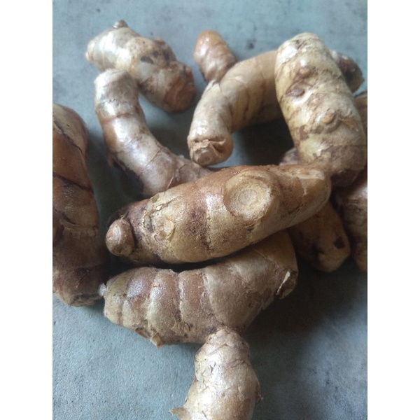 

temu lawak putih fres 500g