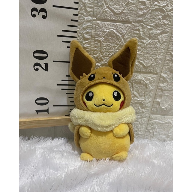 pokemon pikachu poncho eevee