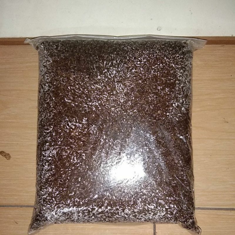 SEKAM MENTAH FERMENTASI