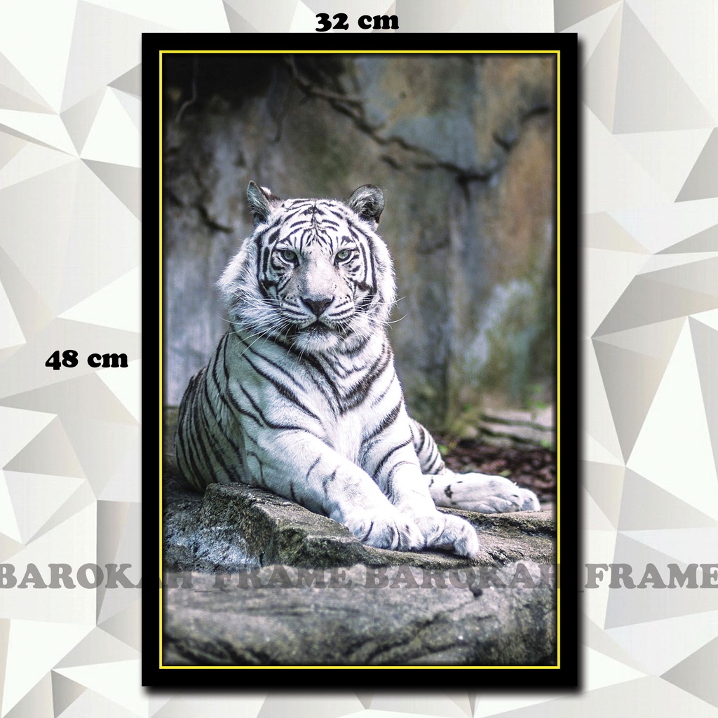 Hiasan dinding Macan Putih Harimau Putih Foto Gambar Poster Bingkai  32x48cm