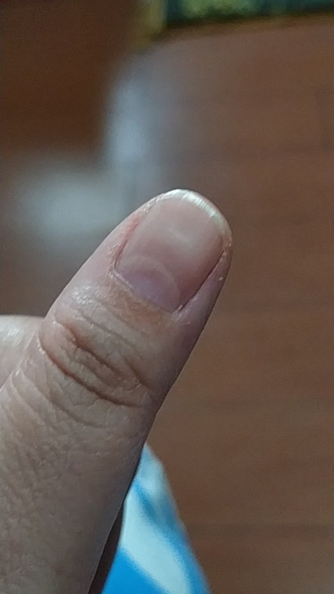 Wings Cream Detergent 174gr