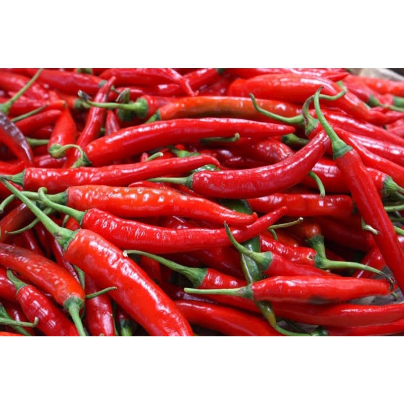 

Cabe merah besar/TW 100gr