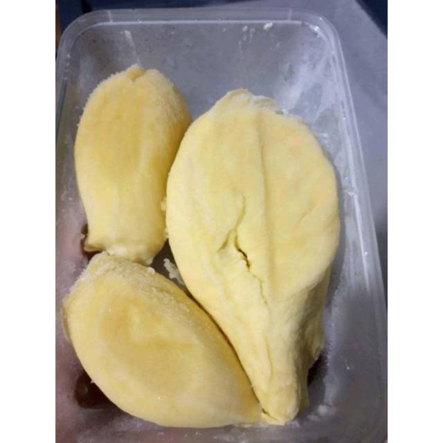 

Durian Montong palu