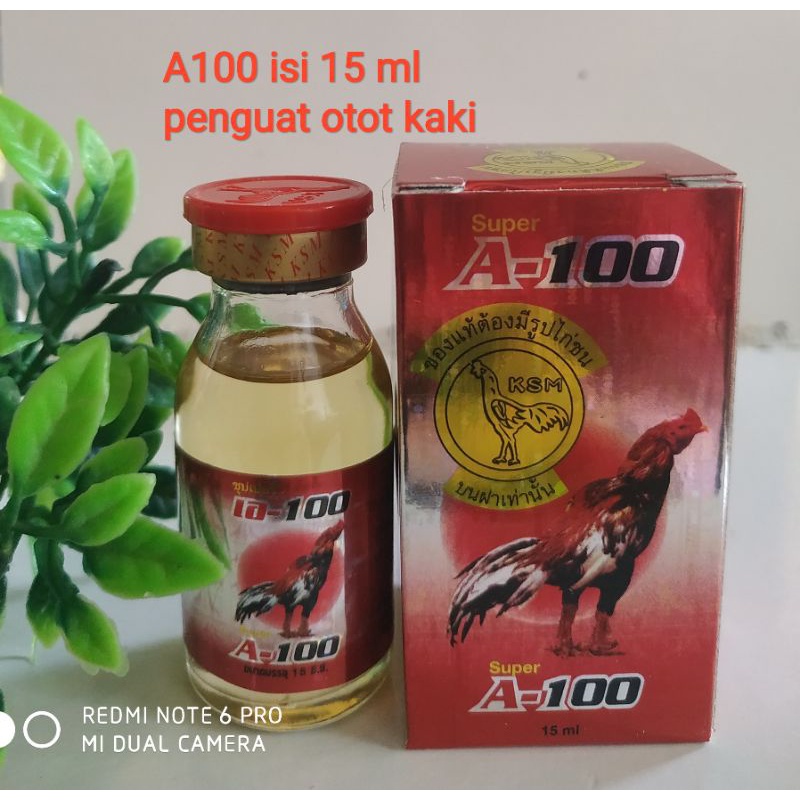A100 obat penguat otot kaki ayam 15 ml