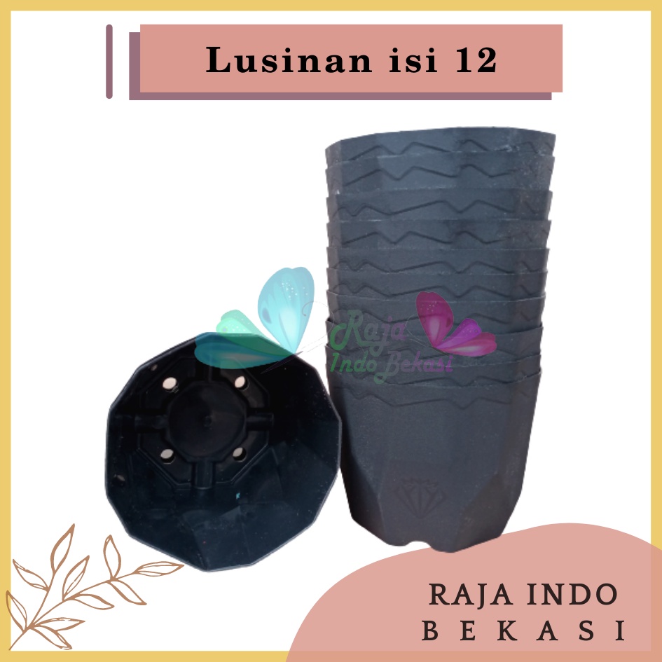 Lusinan Isi 12 Pcs Pot Permata 12 Hitam Diameter 10,5cm Pot Kaktus Mini Lucu Murah - Pot Tawon 10 12