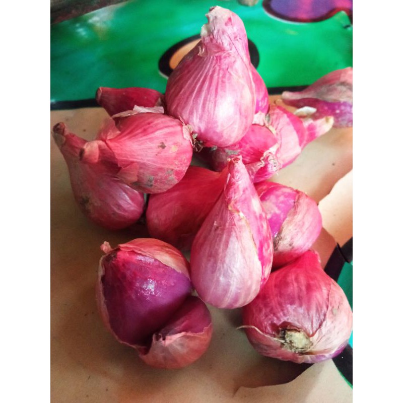 

bawang merah