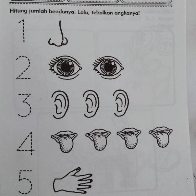 Belajar Pengembangan Kemampuan KOGNITIF TK A Semester 1