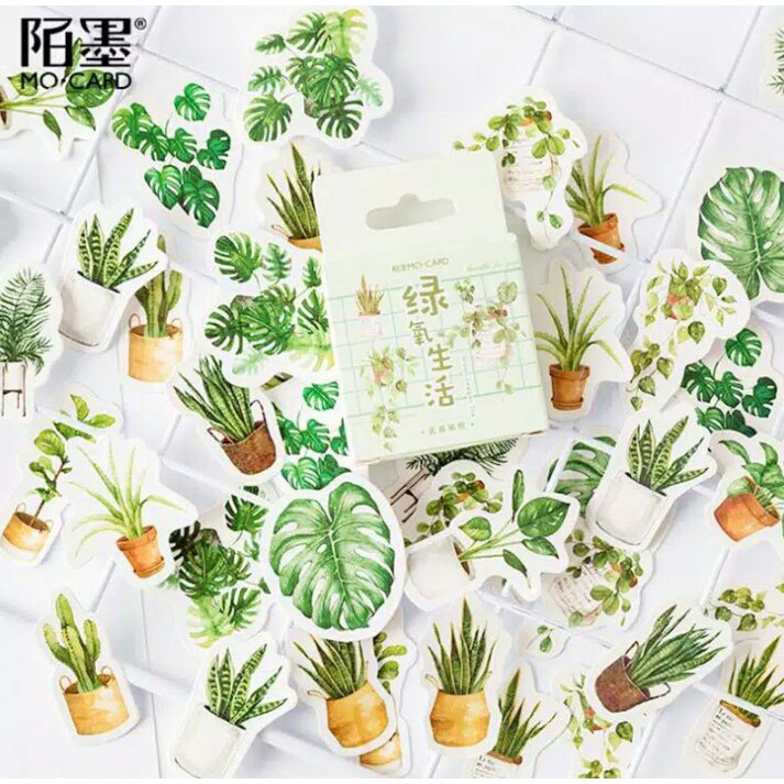 

45pcs aesthetic stiker box Pot Culture Green lucu utk dekorasi scrapbook/album