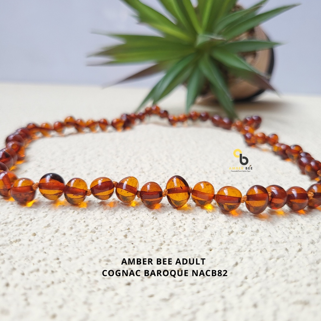 Kalung Amber Baltic Lithuania Dewasa Premium Glossy Cognac NAGC82 by Amber Bee